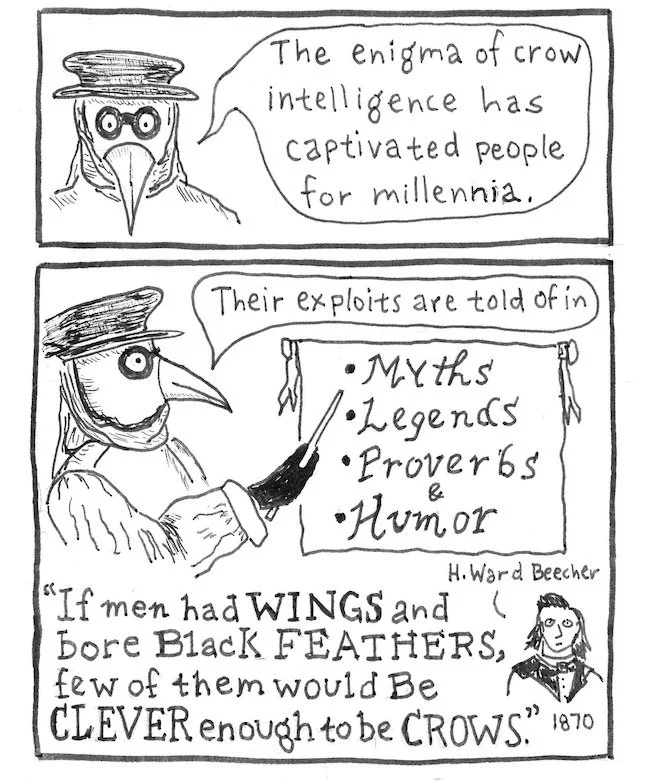 C.R.O.W. Lab — The Illustrated Wheel Bicycle Comics